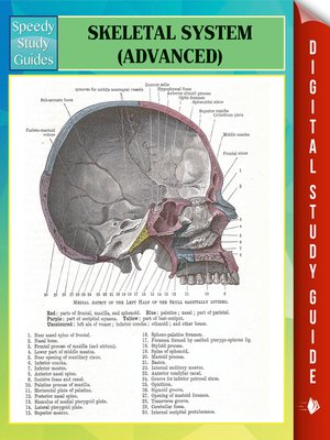 cover image of Skeletal System (Advanced)